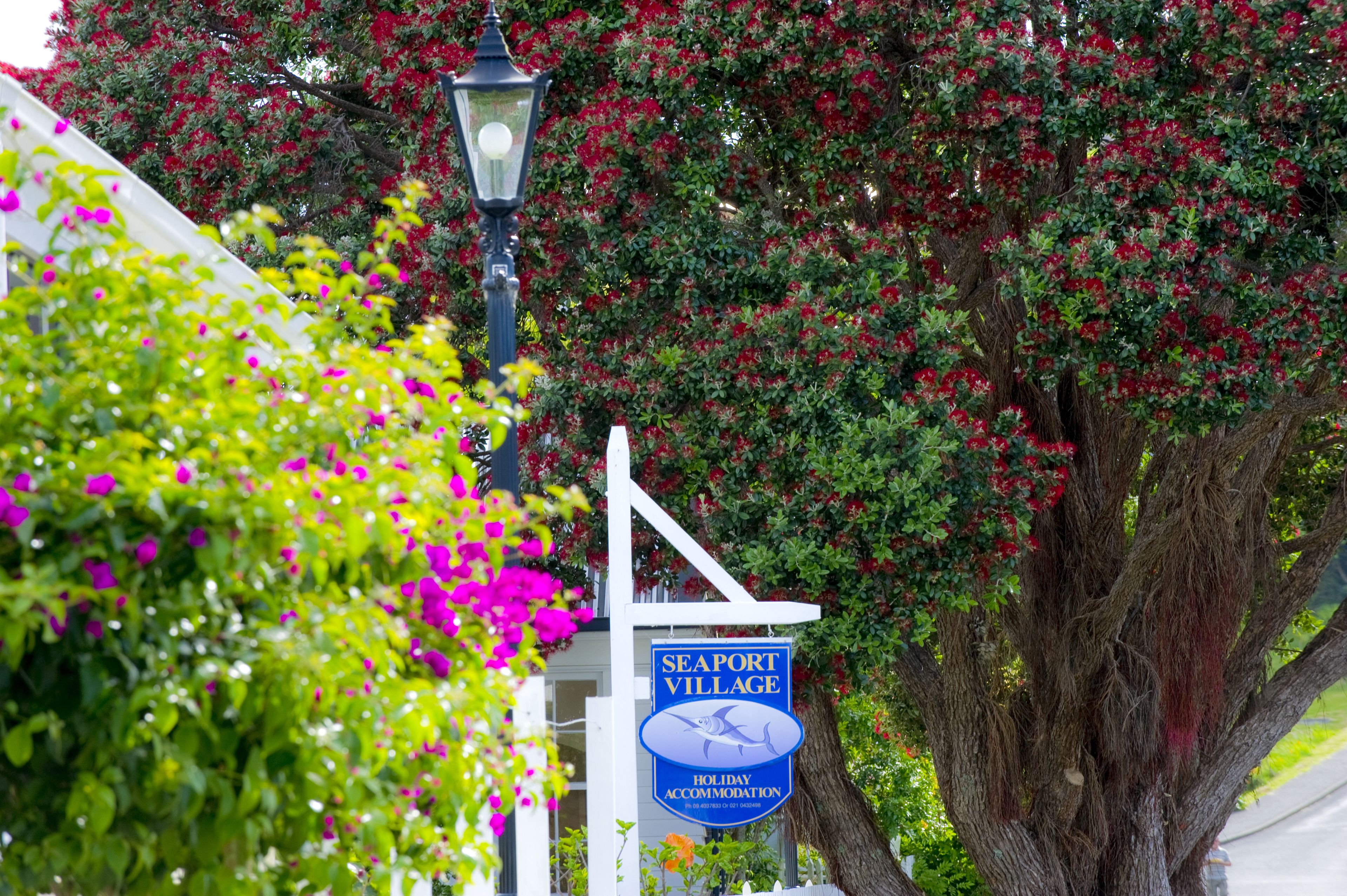 Seaport Village