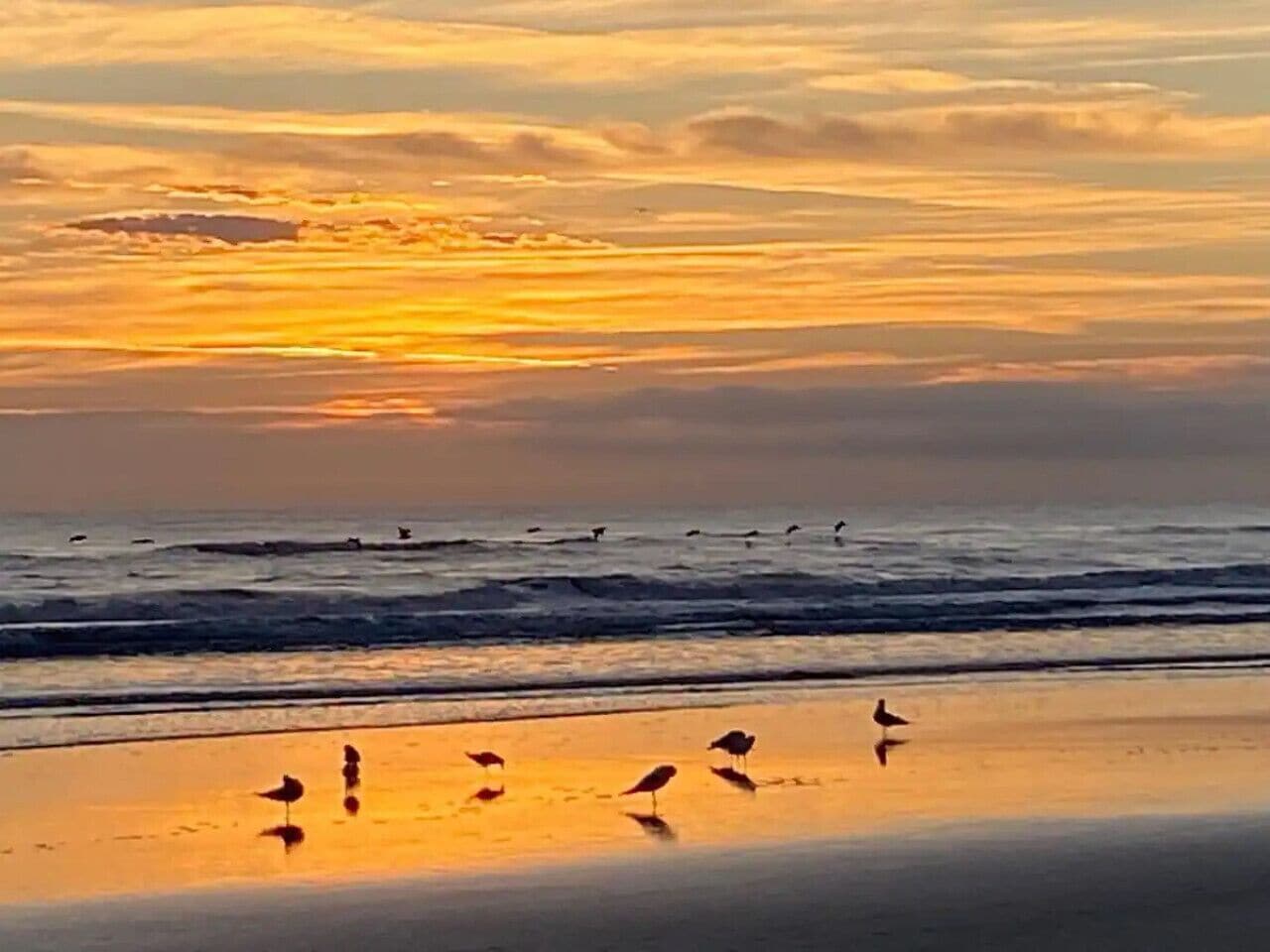 Serenity Point l Oceanfront complex