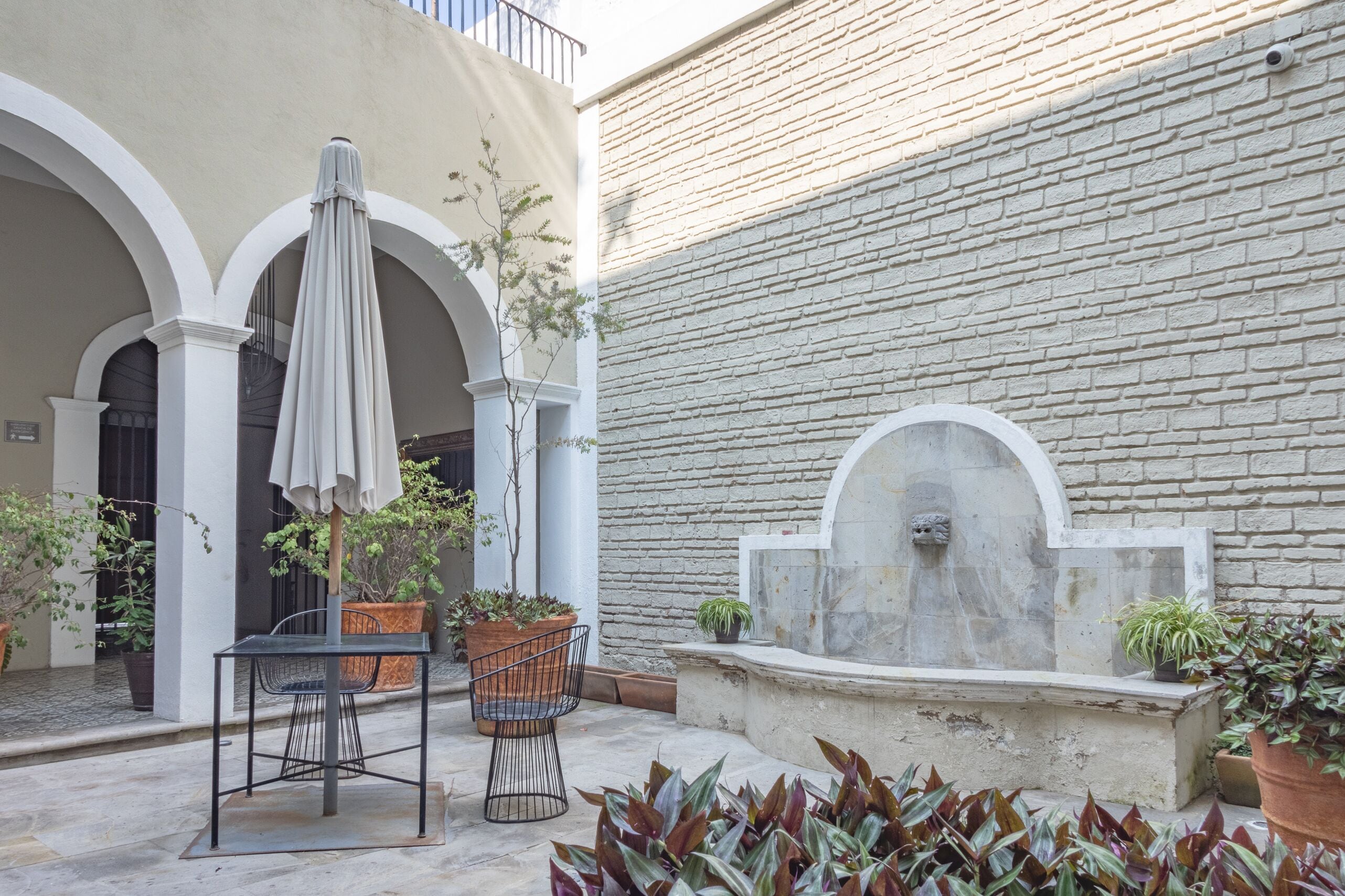 Casa Monarcas - Eleonor