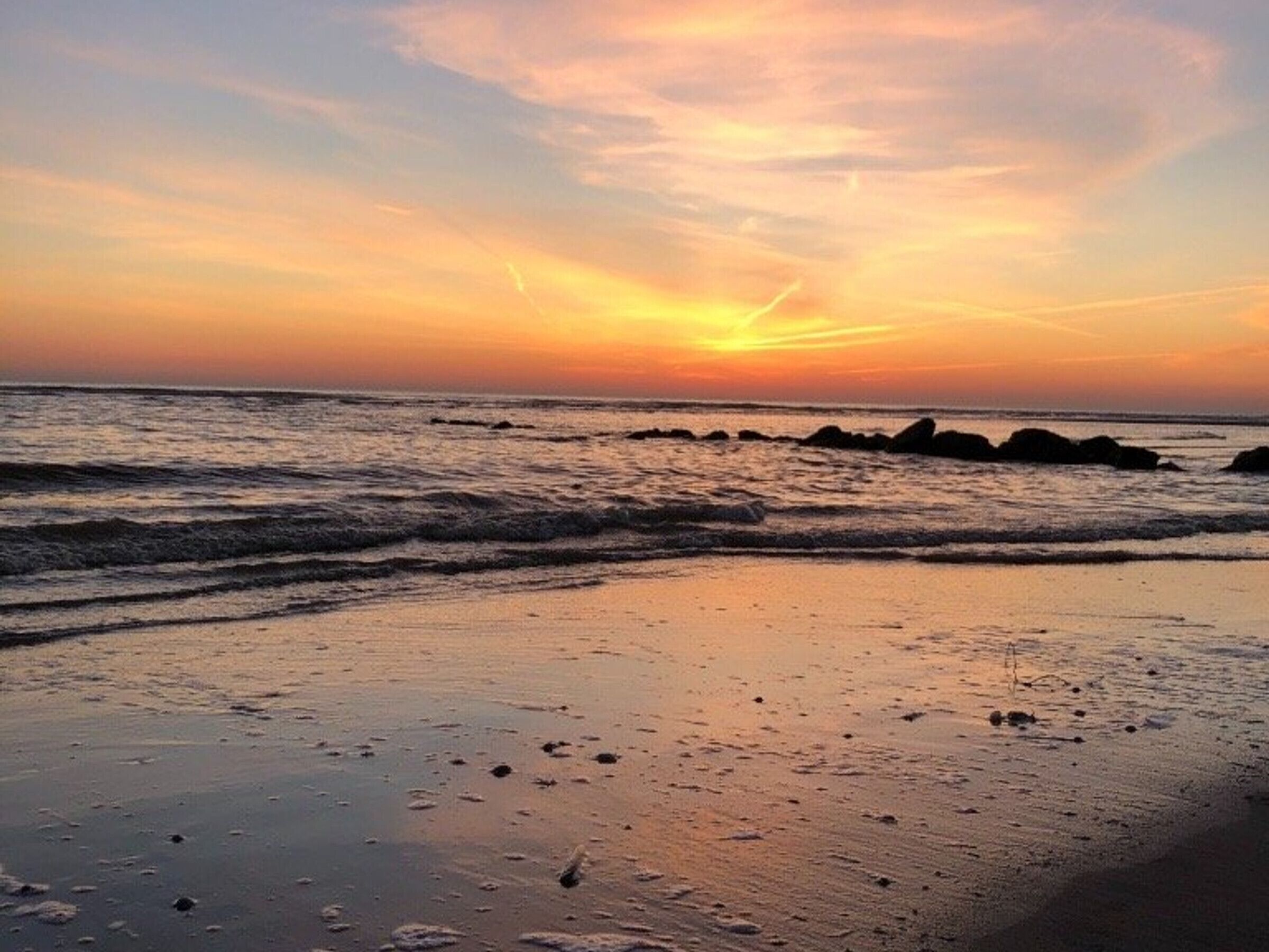 Spacious Studio Near Beach and Shops