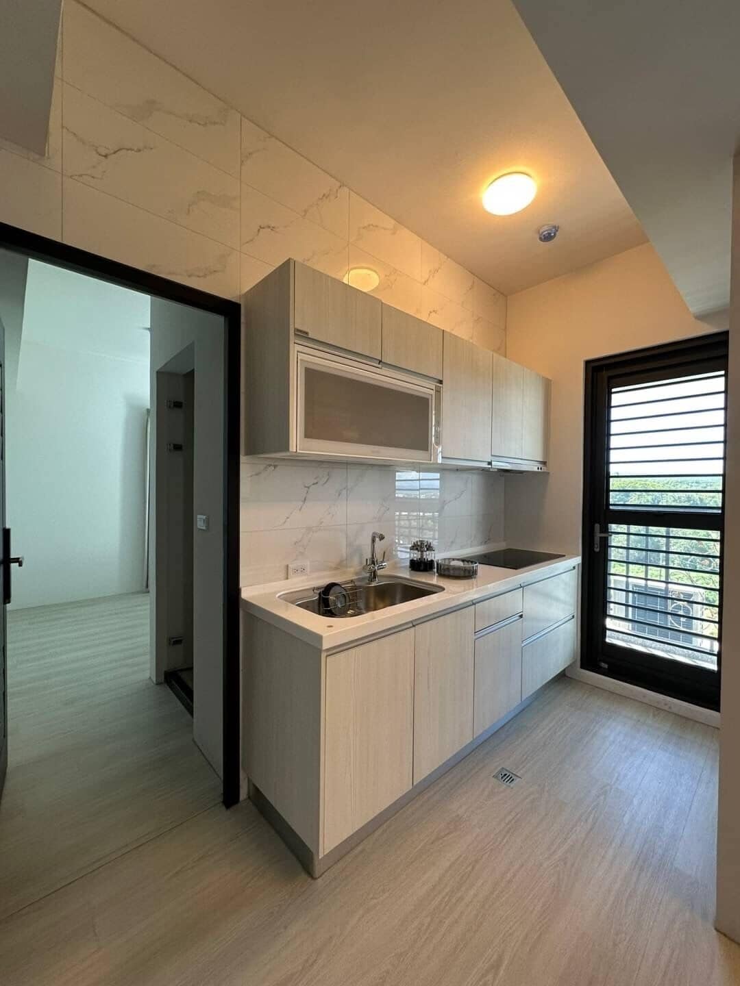 Luxury Apartment