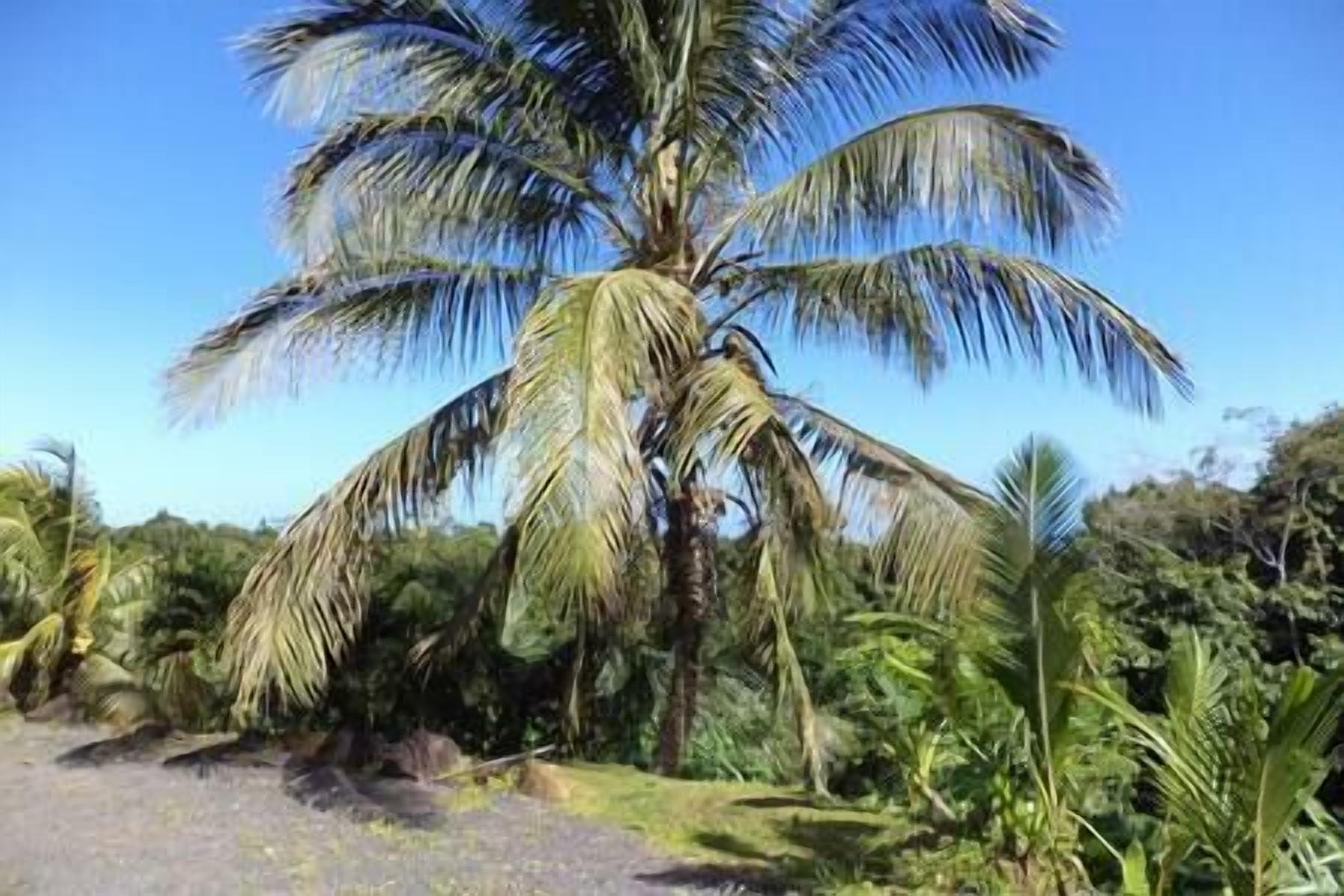 Villa Sofaïa, Piscine, vue Mer, 4 Chambres, 2sdb