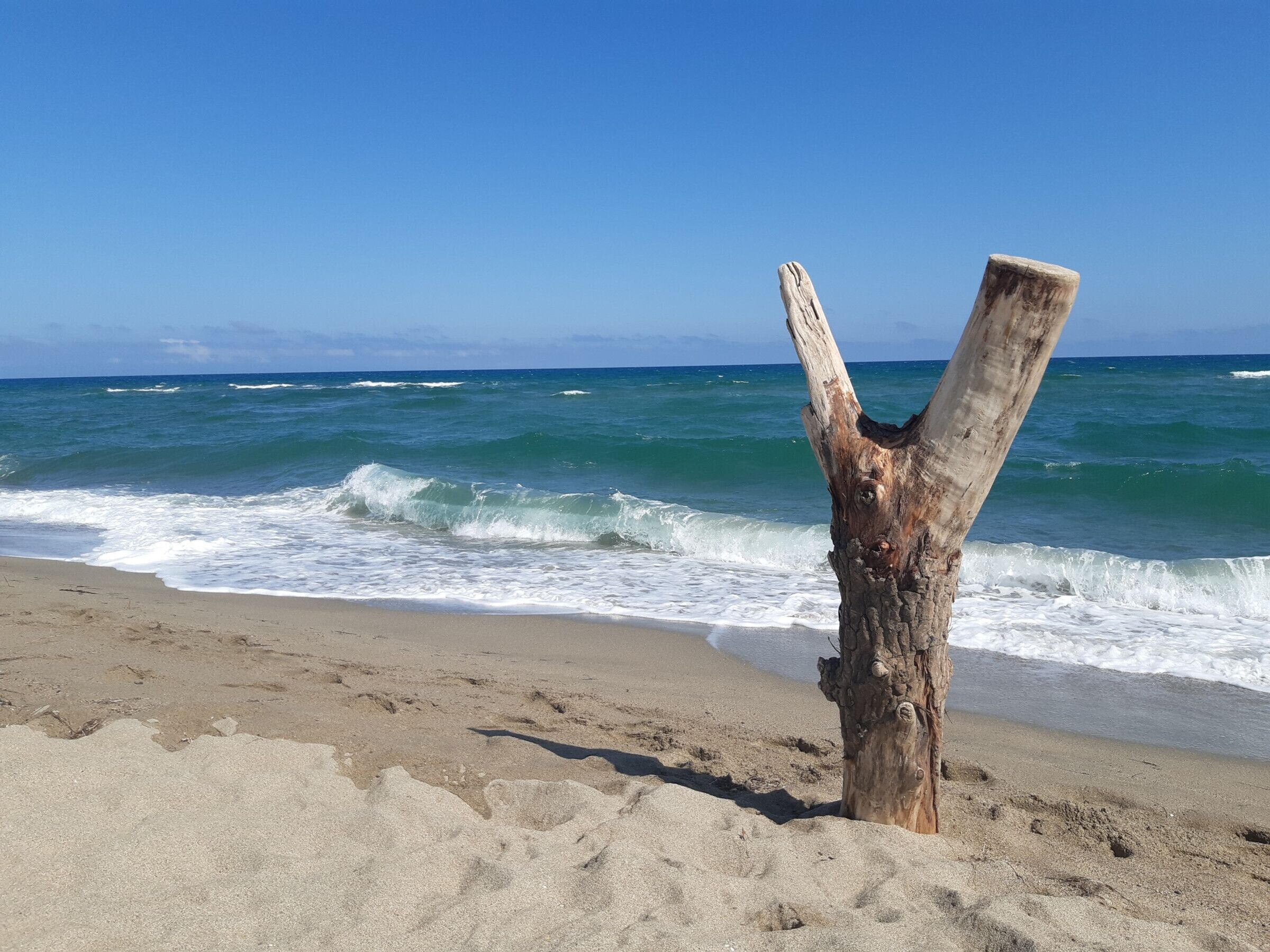 Port Leucate: Cozy villa for 6 by the sea, near activities