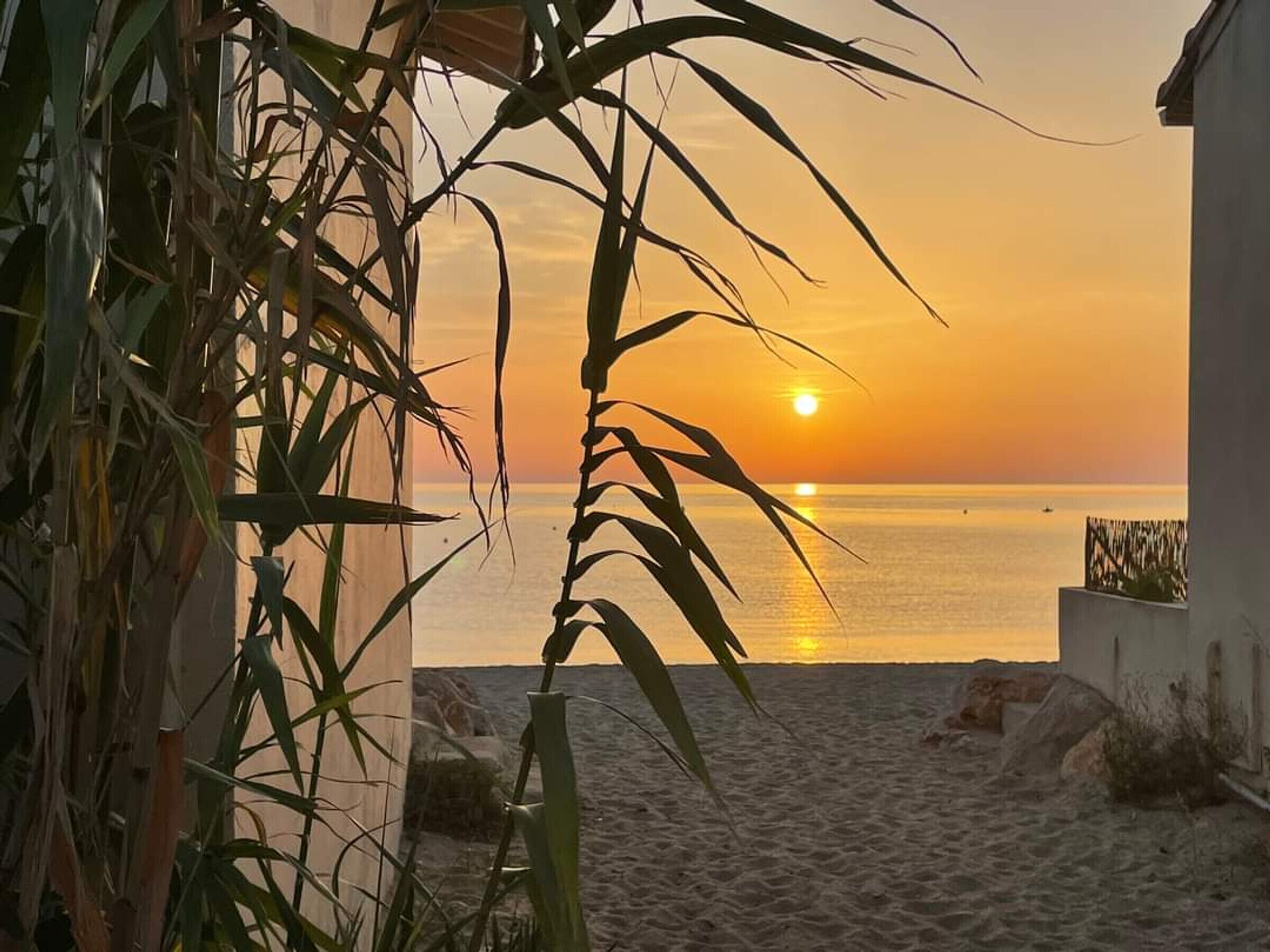 Cozy 1BR Apt for 4, Near Beach, Parking, WiFi, Pet-Friendly