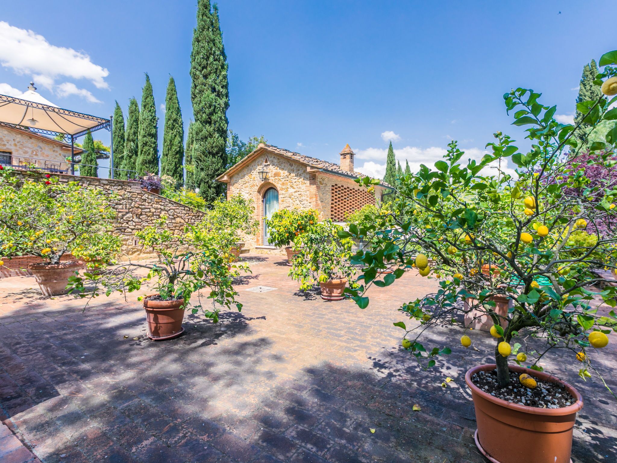 Il Sangiovese by Interhome