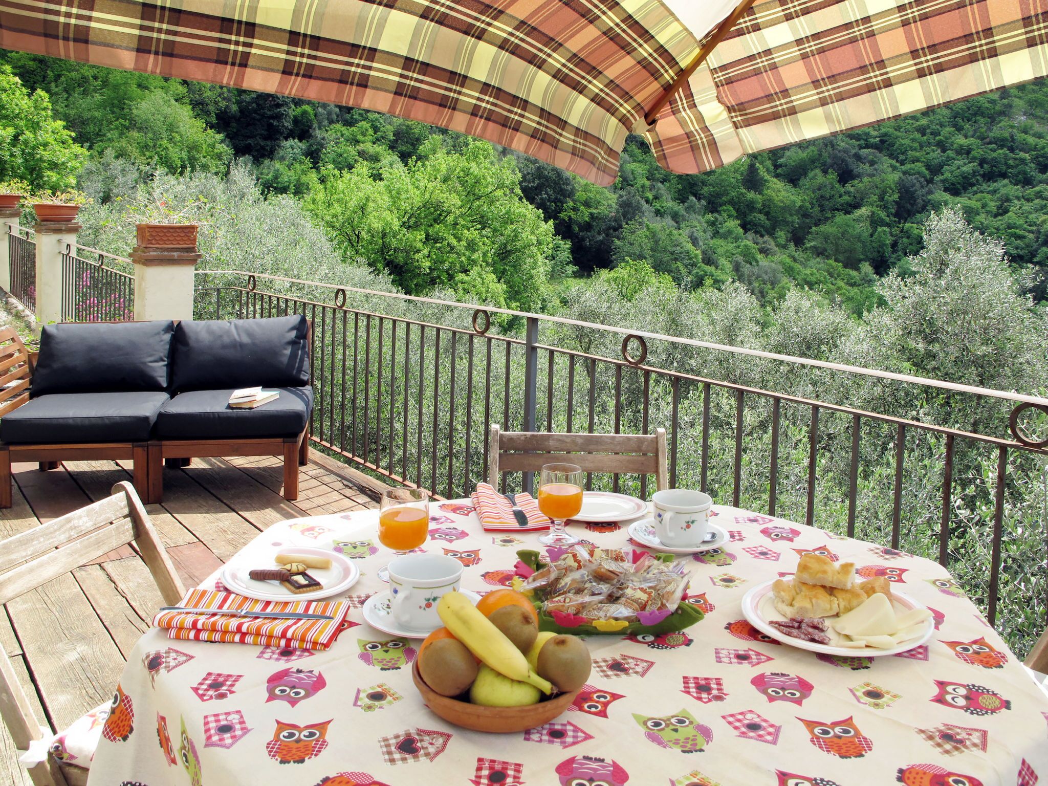 Olivella by Interhome