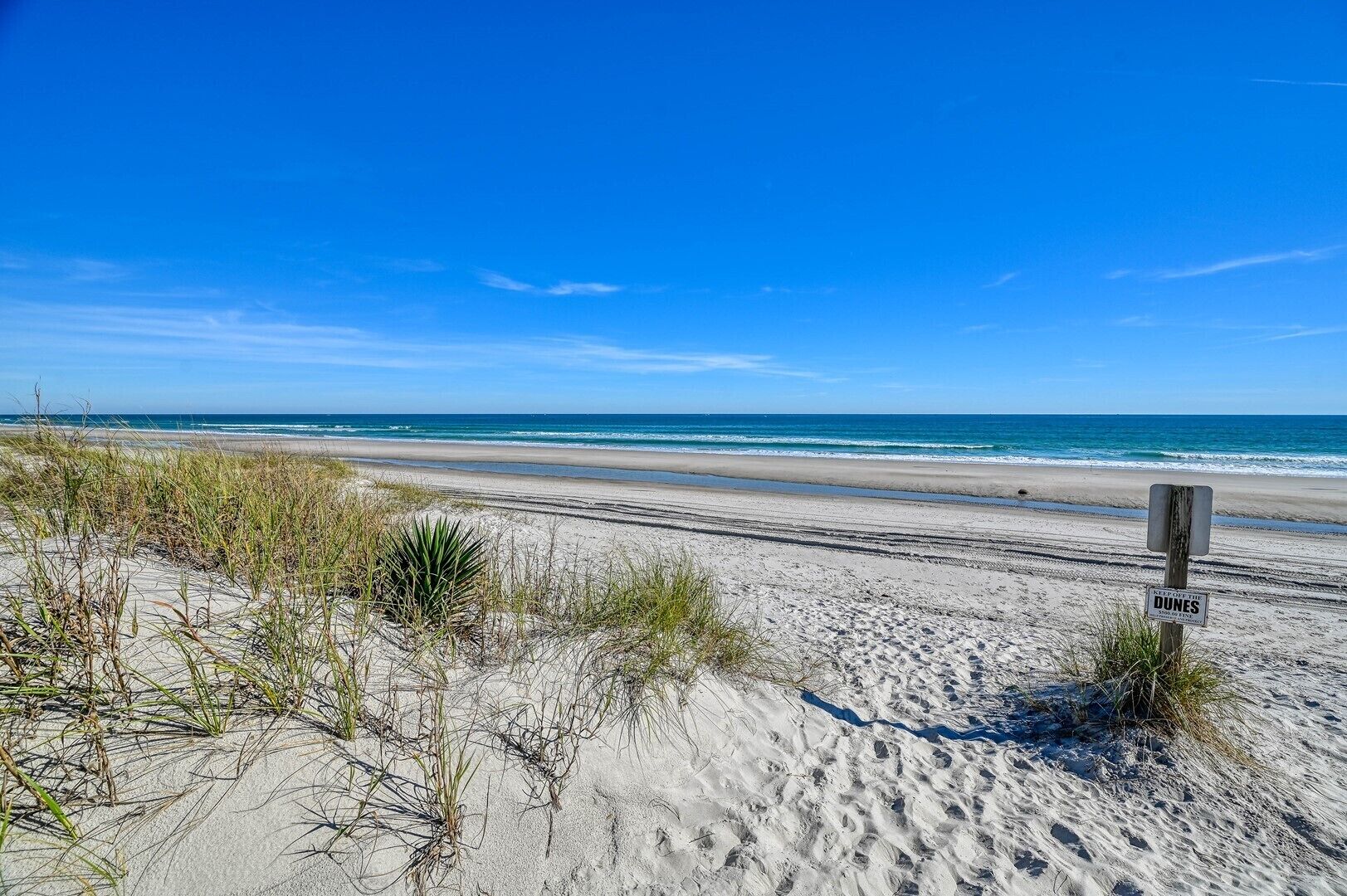 Dogs Allowed with added pet fee - Pool - Ocean View