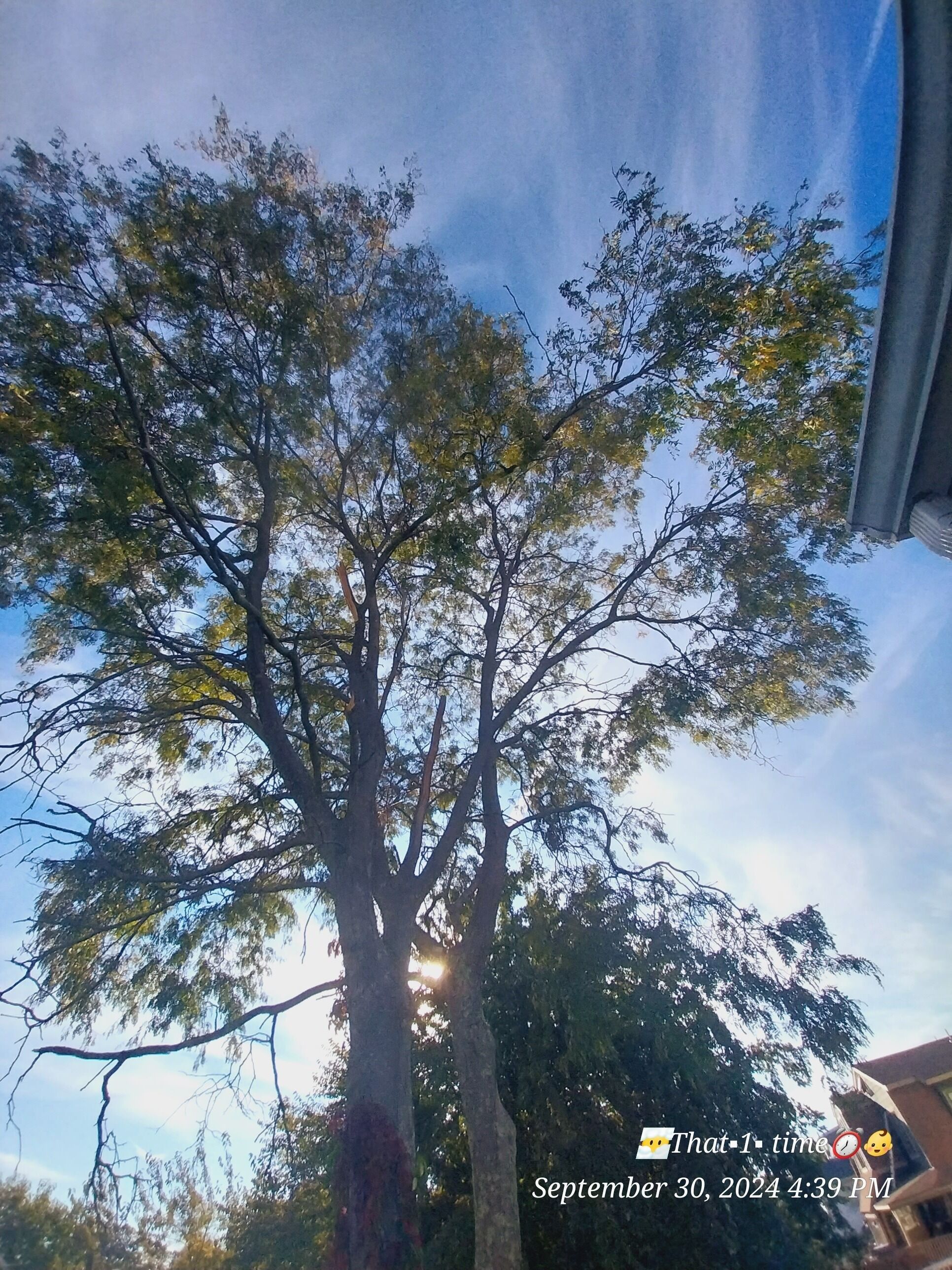  Charming Revere Beach: access to all of BOSTON-SALEM witches-NorthShore 