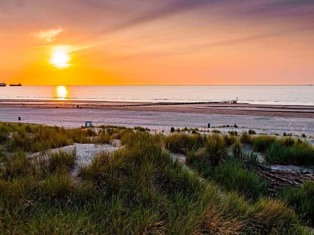 Enjoy Beachside Serenity in 2 Pristine Rooms Close to For Freedom Museum