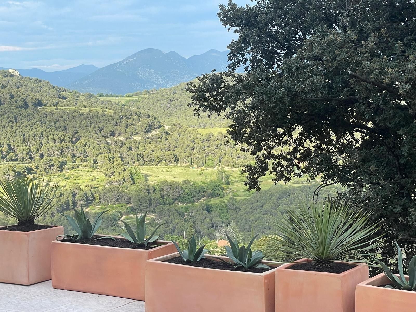 Charming house in the Dentelles de Montmirail. Ideal for recharging your batteries!