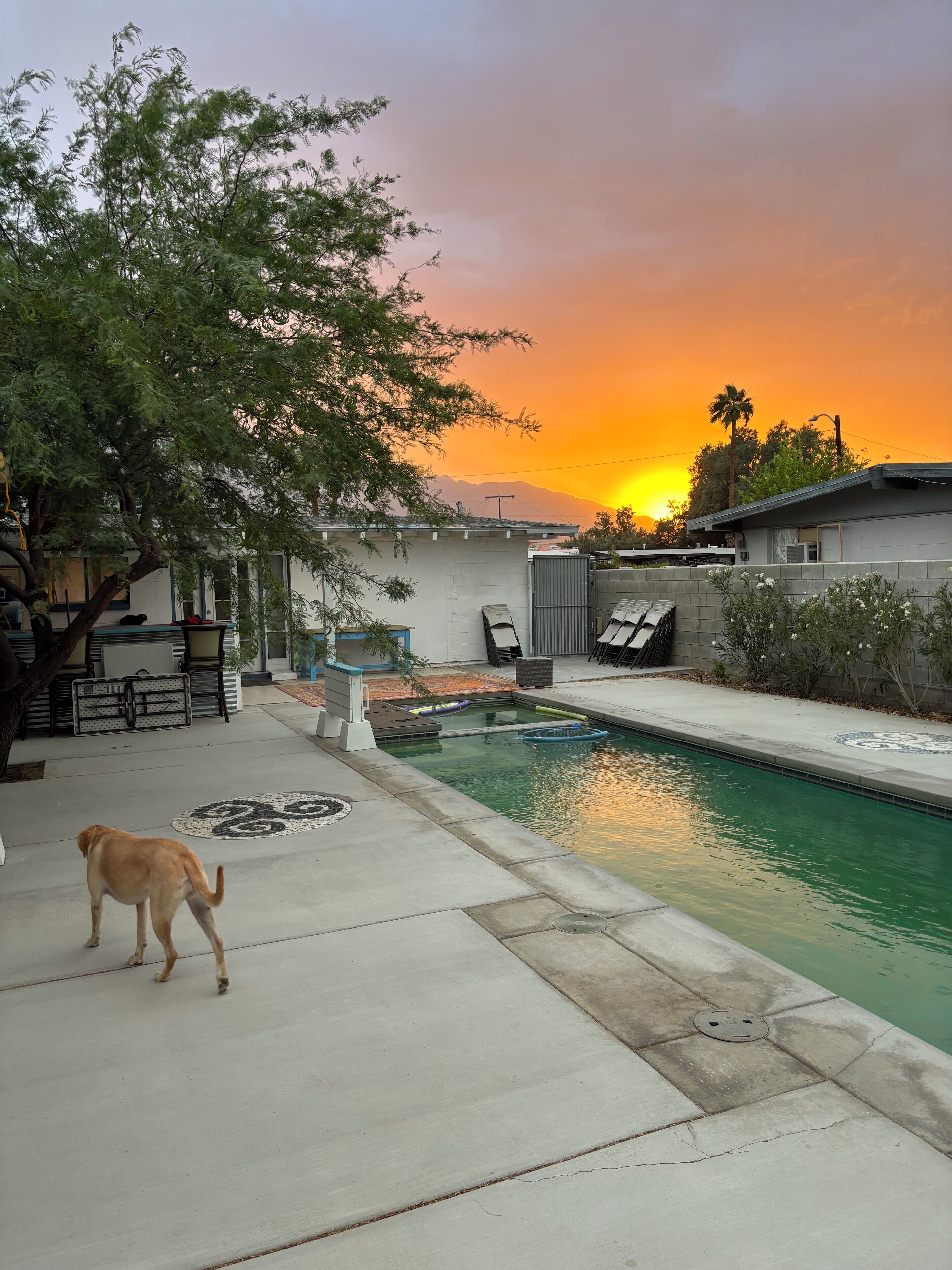 Charming mini-modern 2-bedroom house with AC, WiFi in fabulous Cathedral City