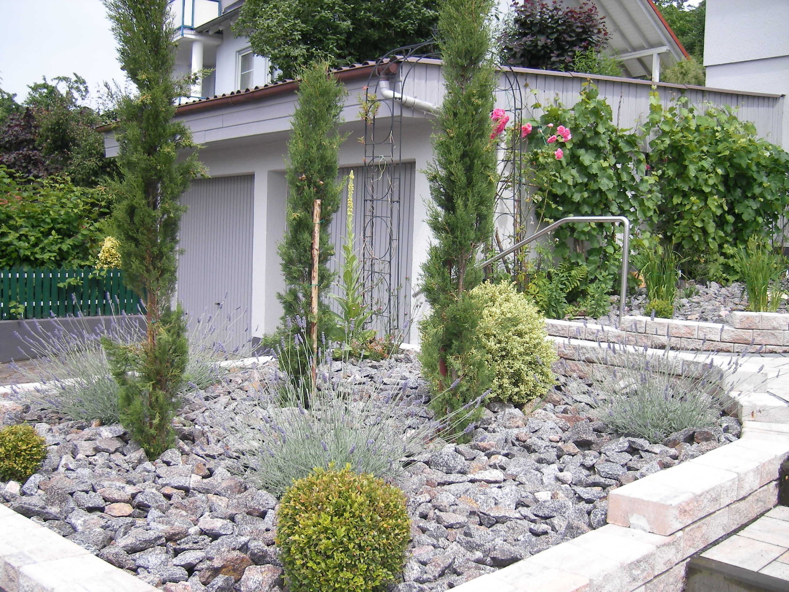 House Ellbogen