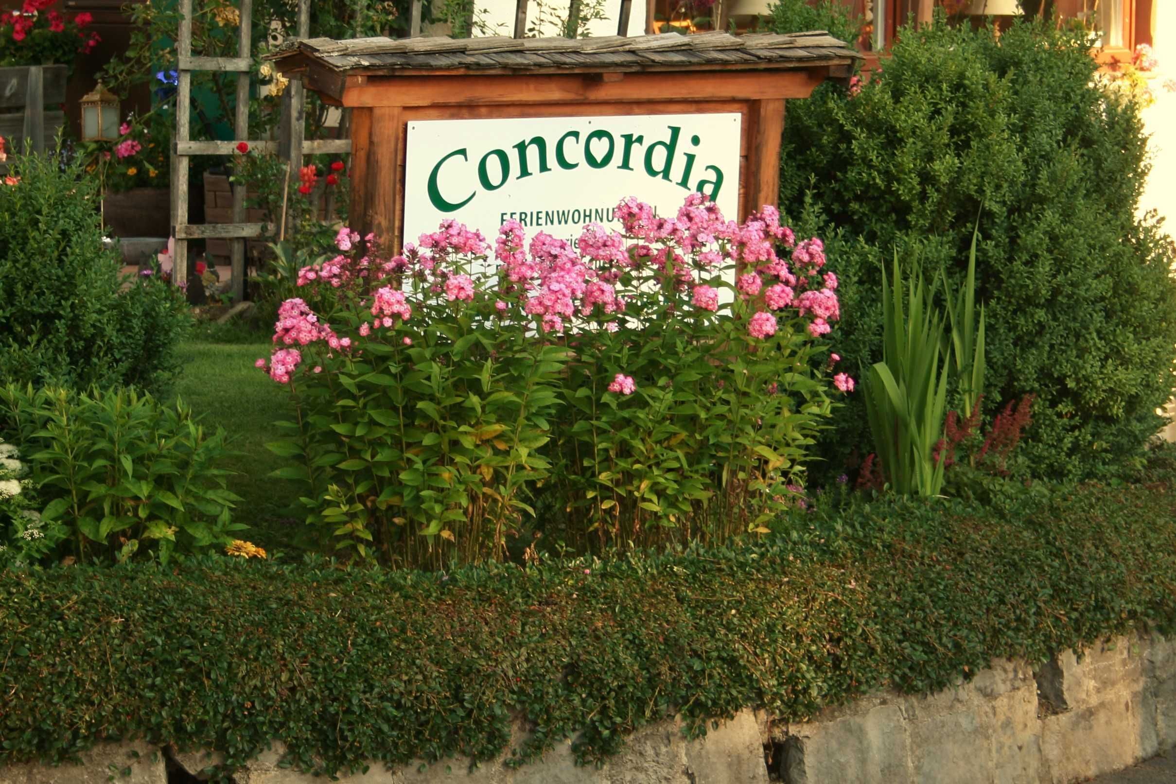 Apartment Setzberg wheelchair accessible DIN 18040 - 4 stars - Concordia