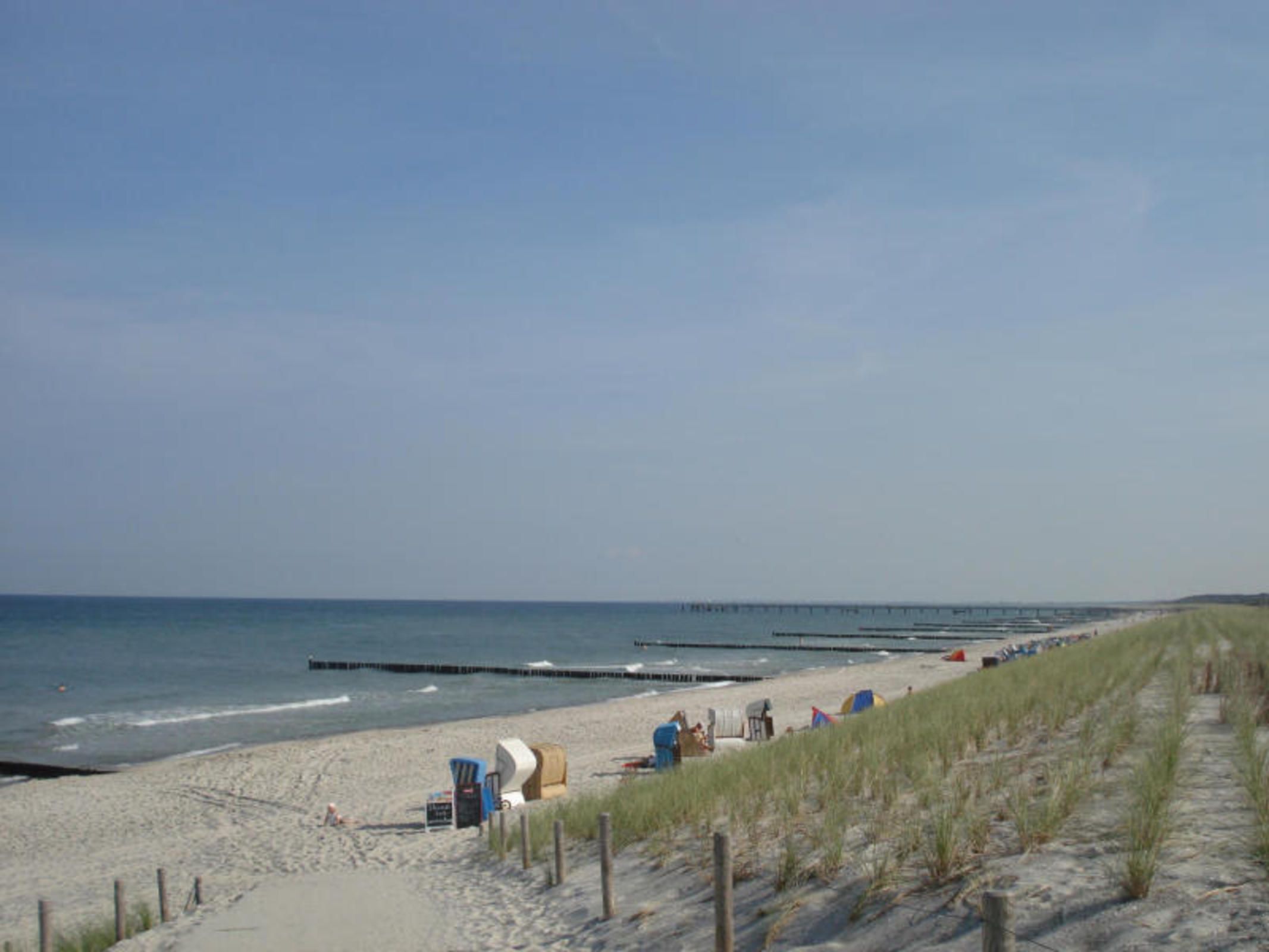 Große Kastanie 57 - between the Baltic Sea and the city center - Ferienwohnung große Kastanie