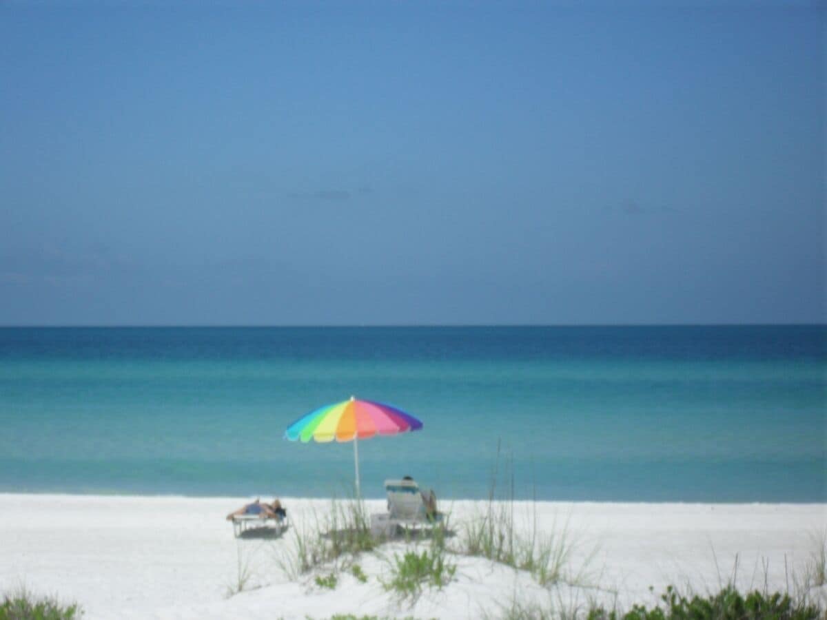 Sandy Shore and So Much More!