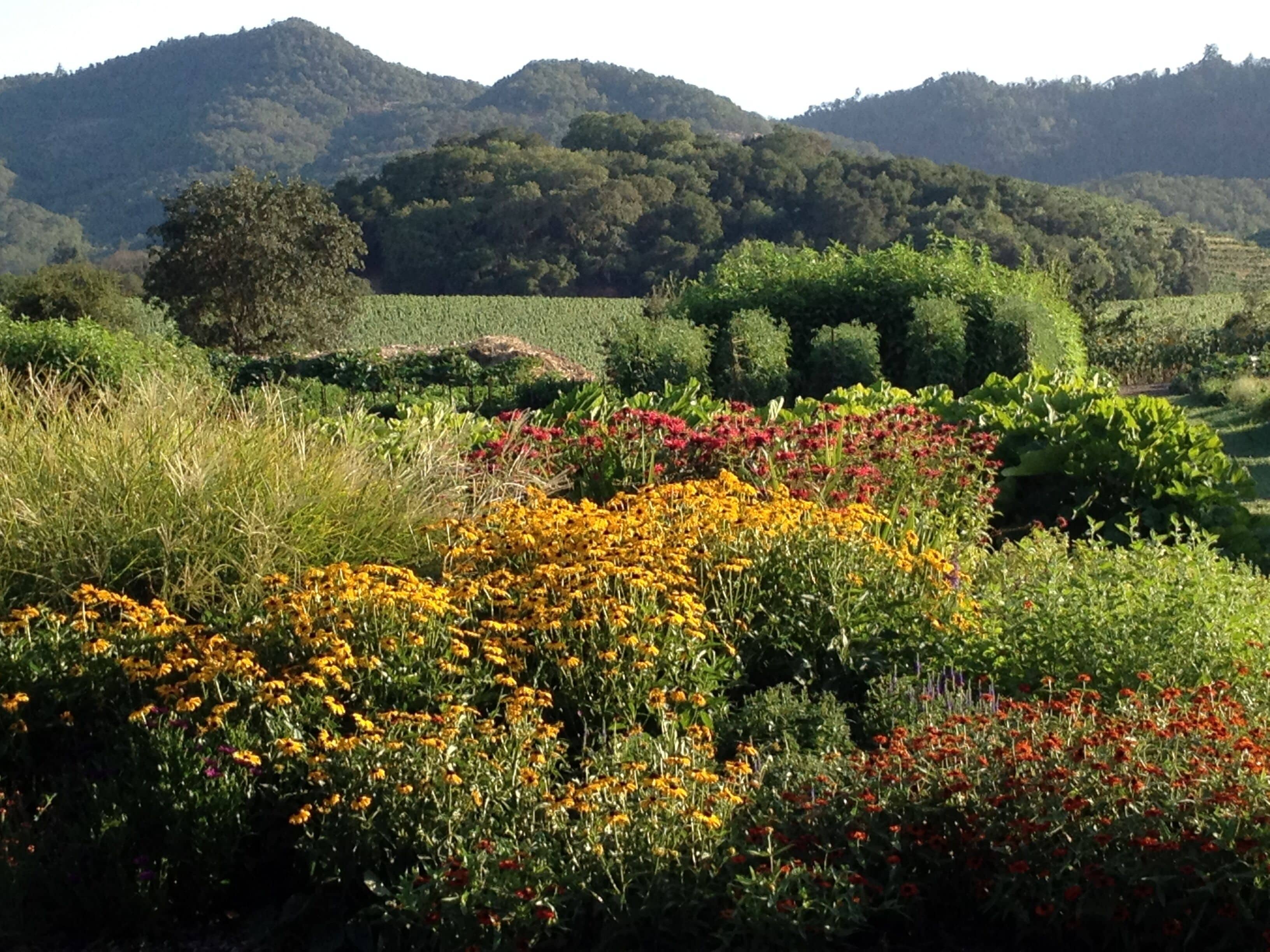 Available * Downtown Napa- Beautifully Remodeled --2Bedroom 2 Bathroom Home