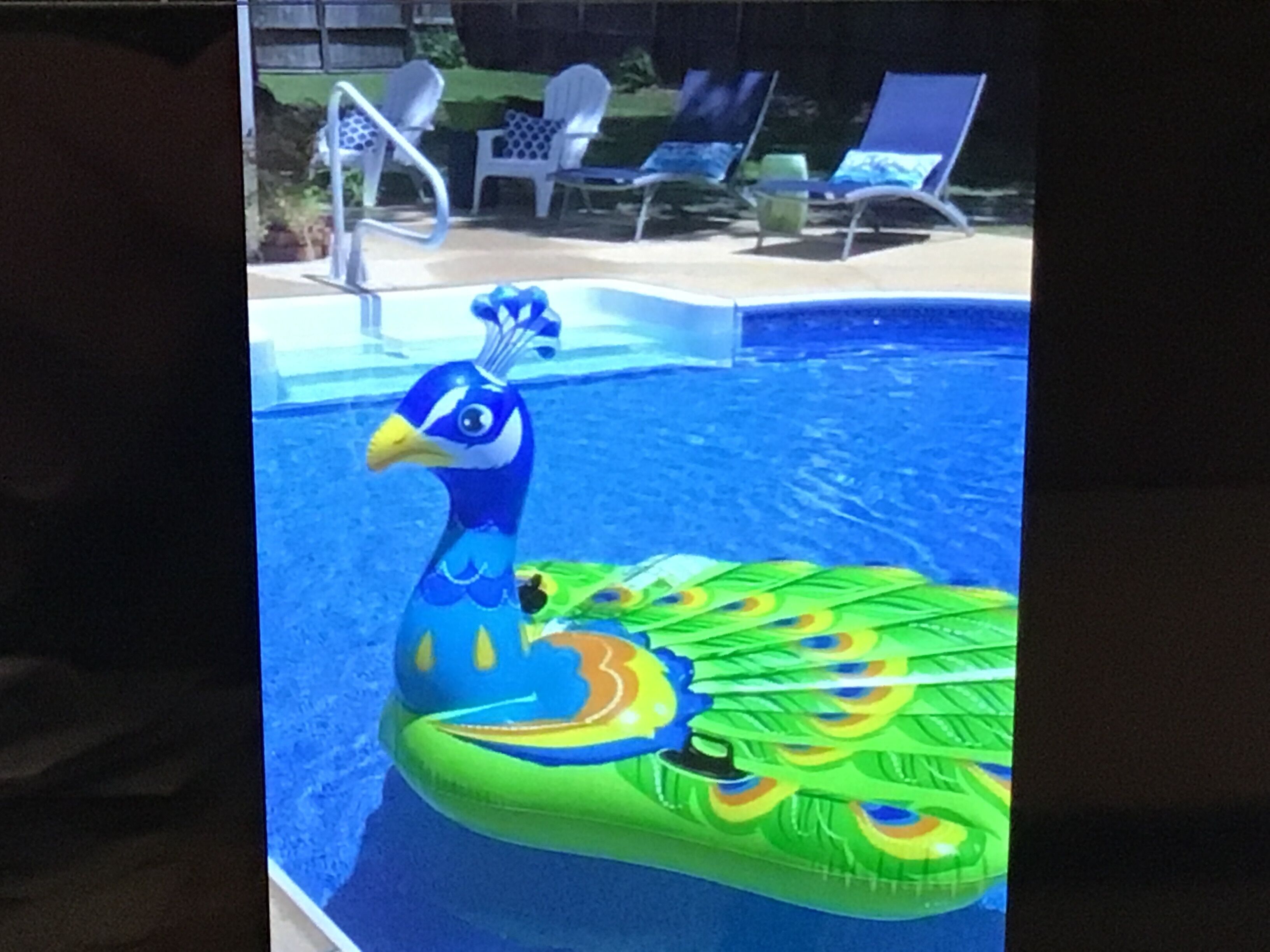 Private pool, Close to Everything!! Your own piece of Paradise!!