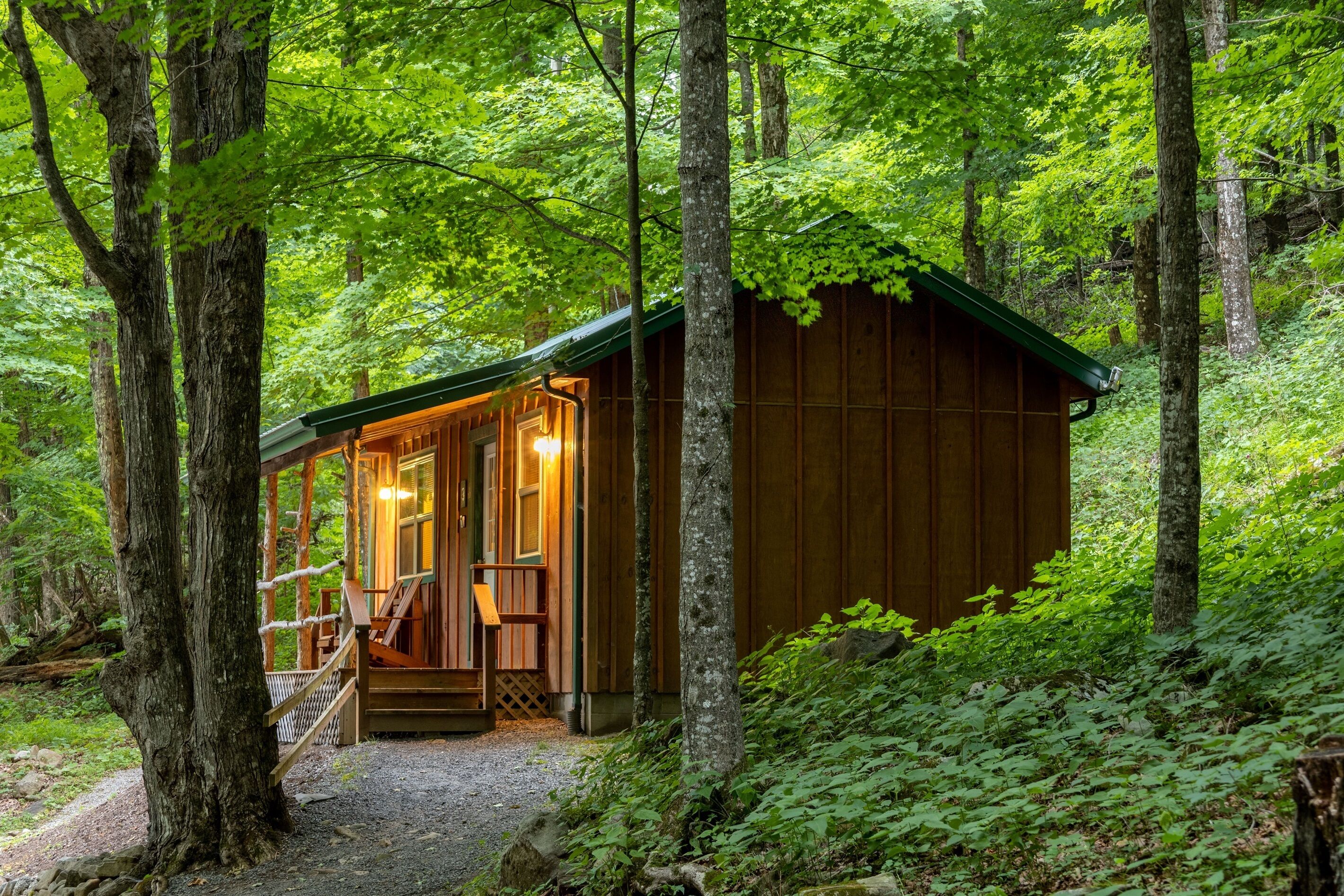 Cabin in the woods w/ WIFI. >1 mi to Mon. Forest