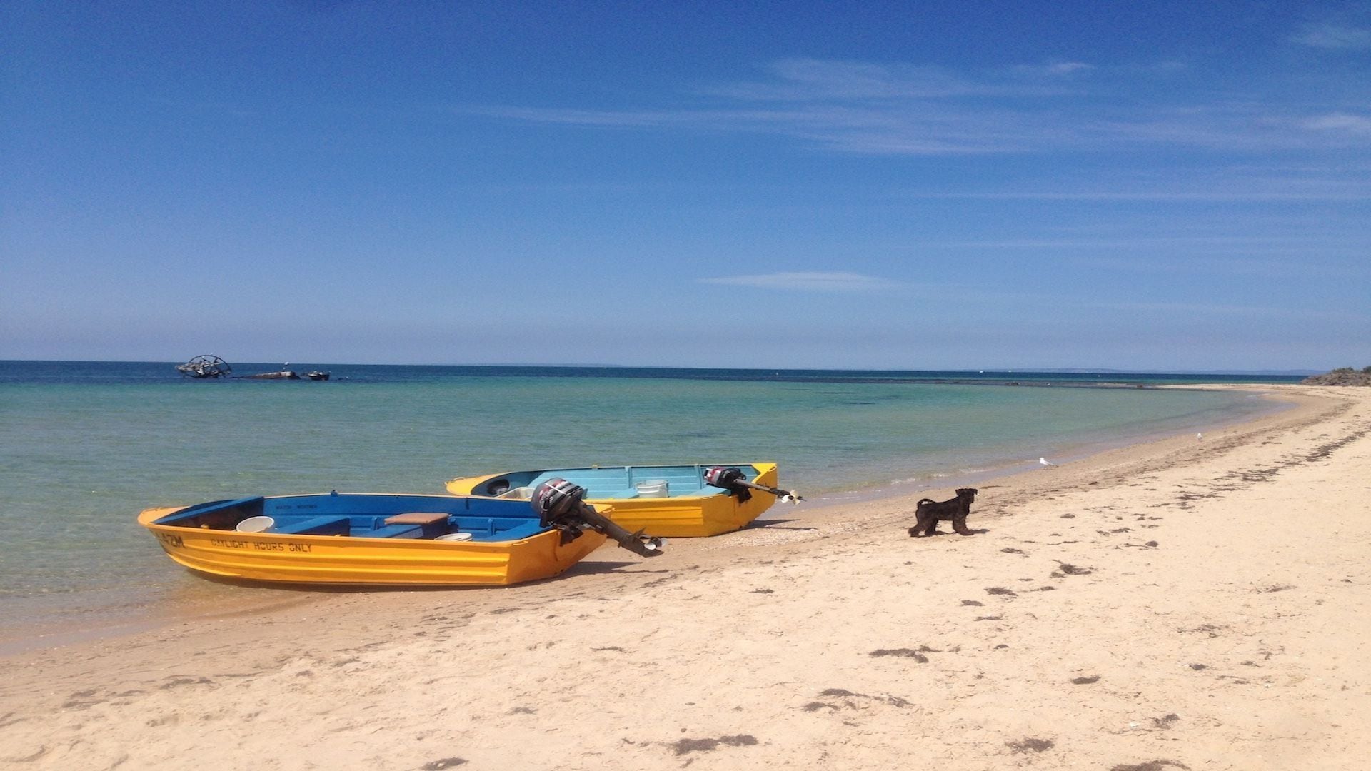 Wisteria Cottage - opposite beach
