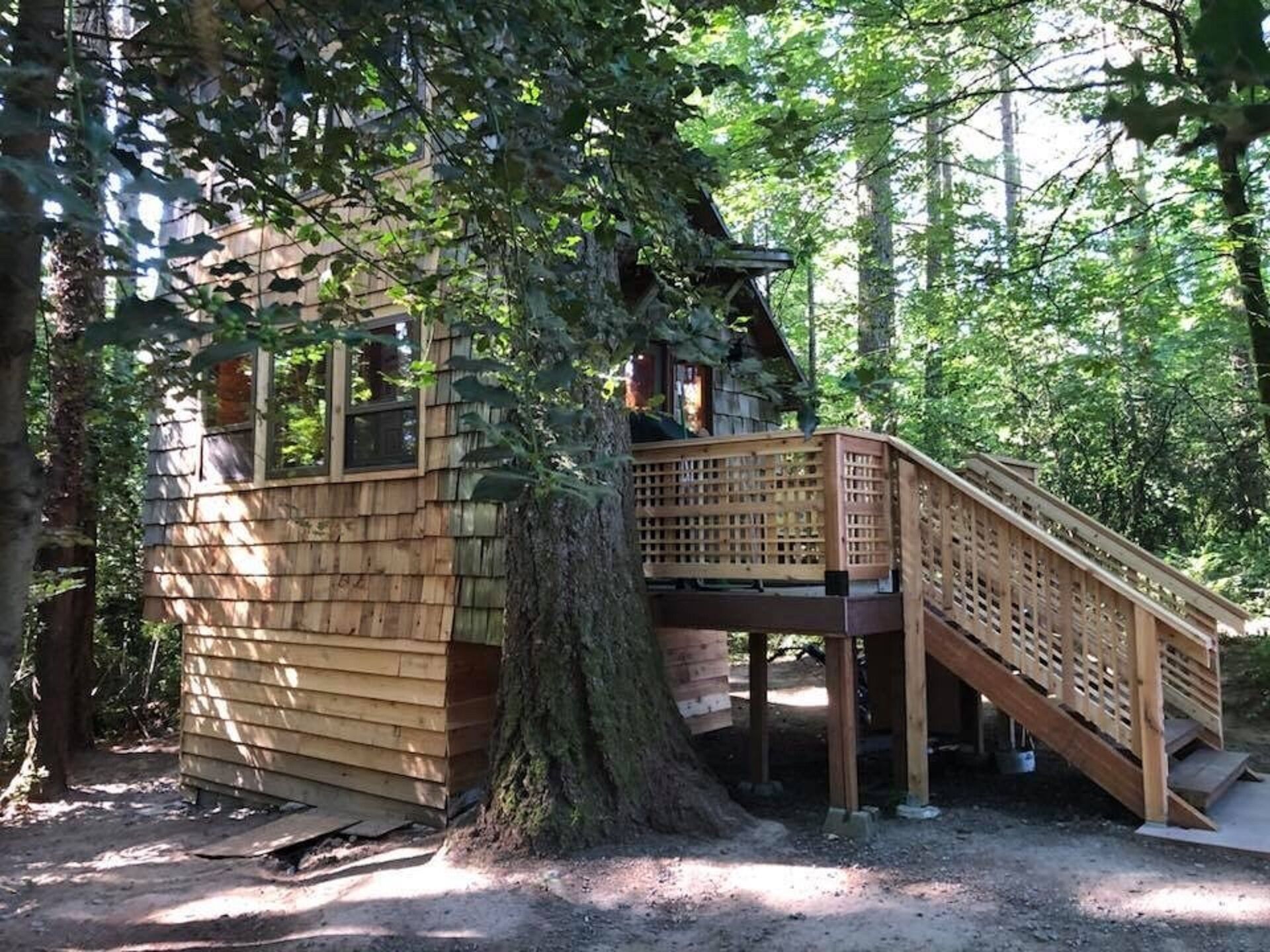 Private tiny forest cabin near Portland and local wineries.