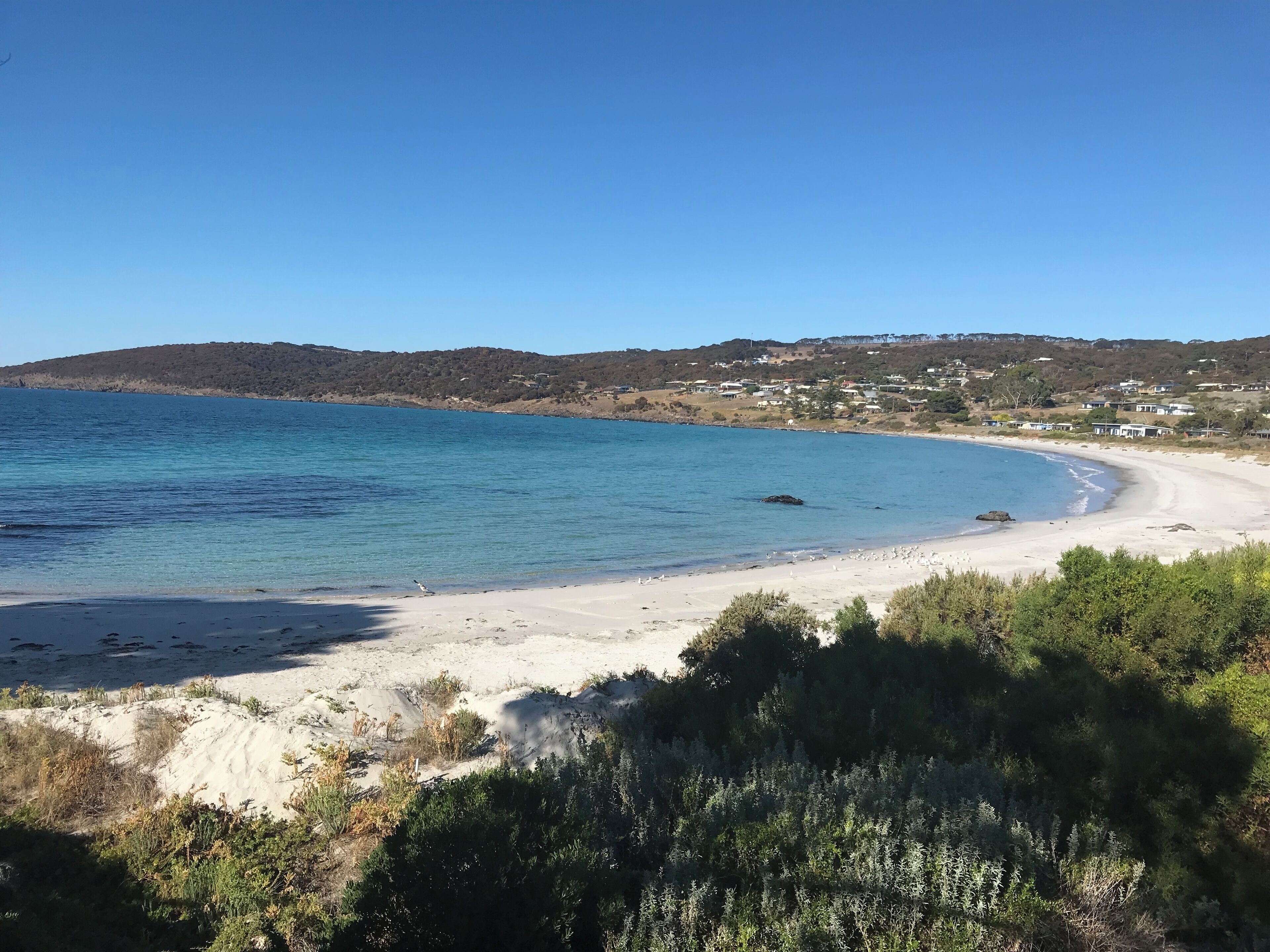 Baywatch Penneshaw Kangaroo Island - Stay, Relax & Watch the Dolphins Play