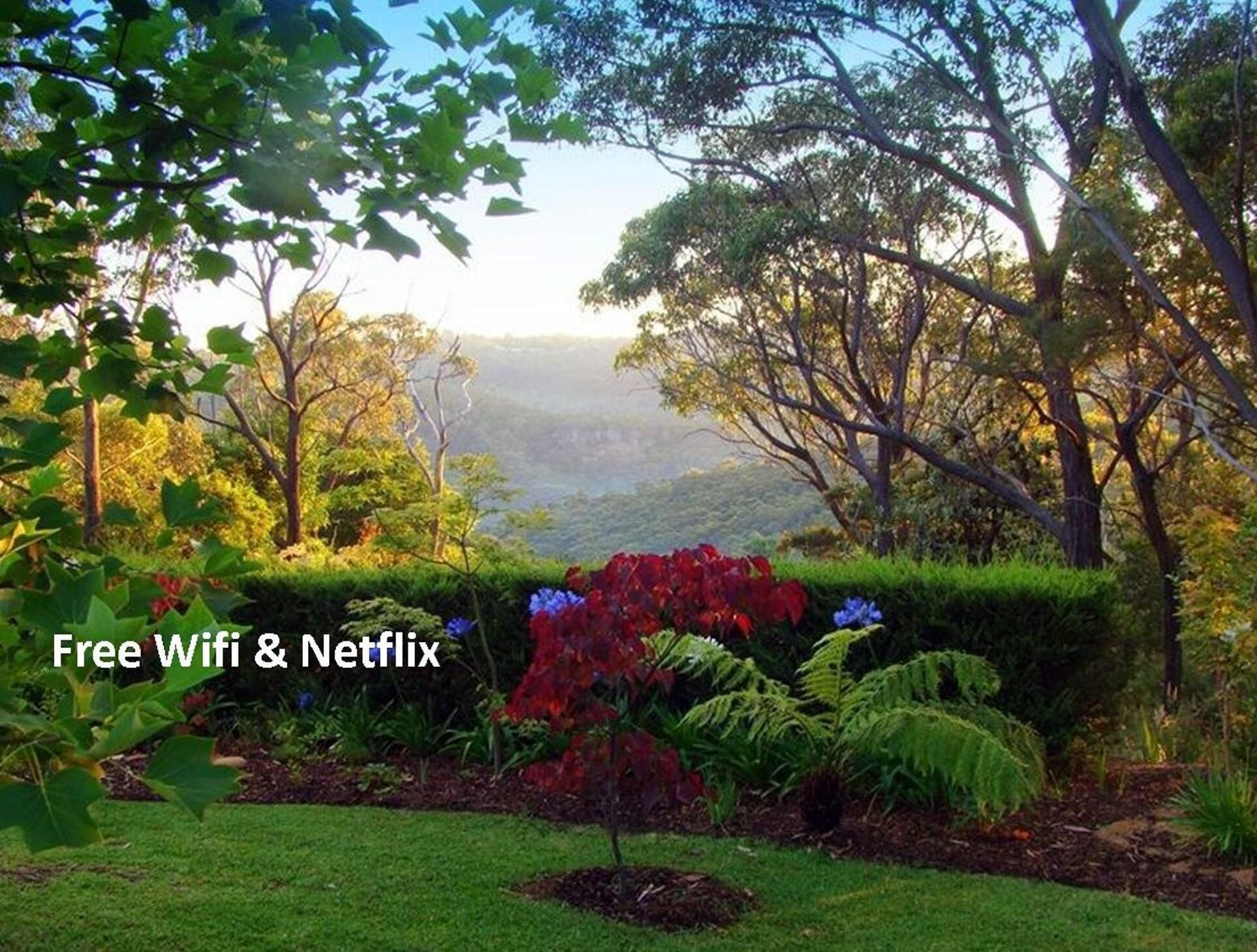 Black Cockatoo Retreat Leura