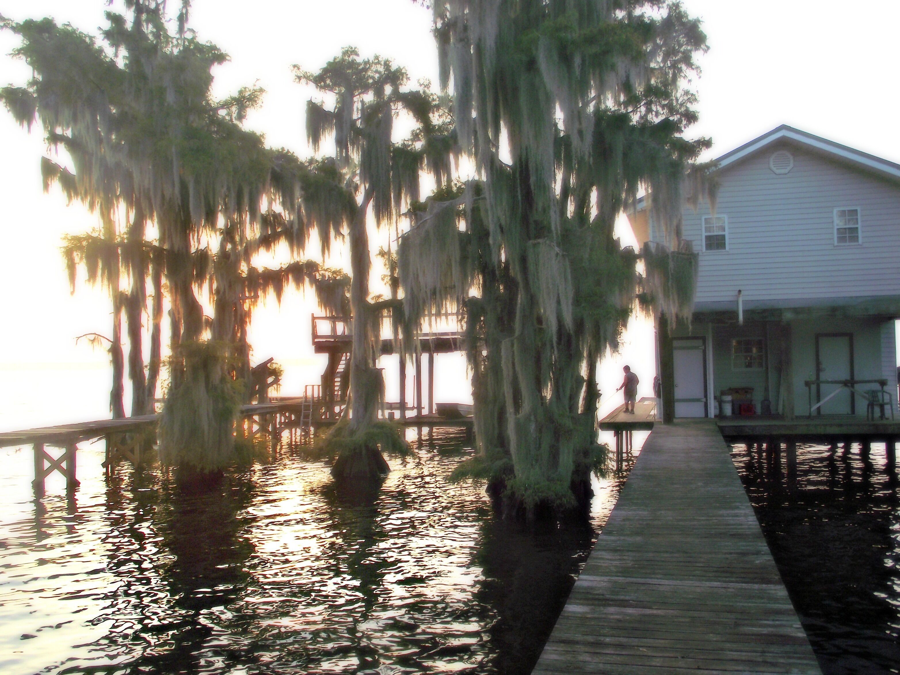 Pierre Part, Louisiana 