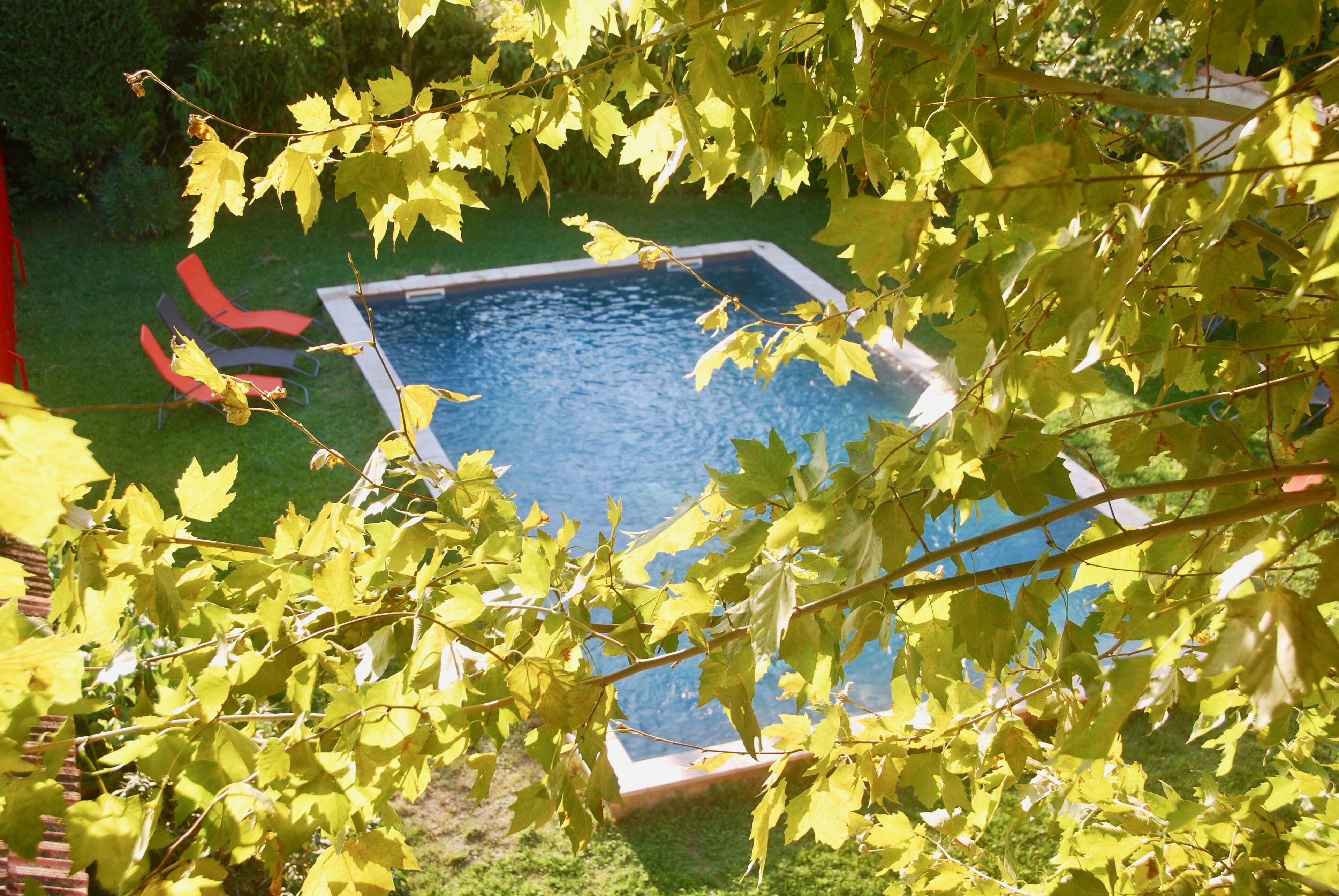 Cabin in the plane tree, swimming pool, trampoline