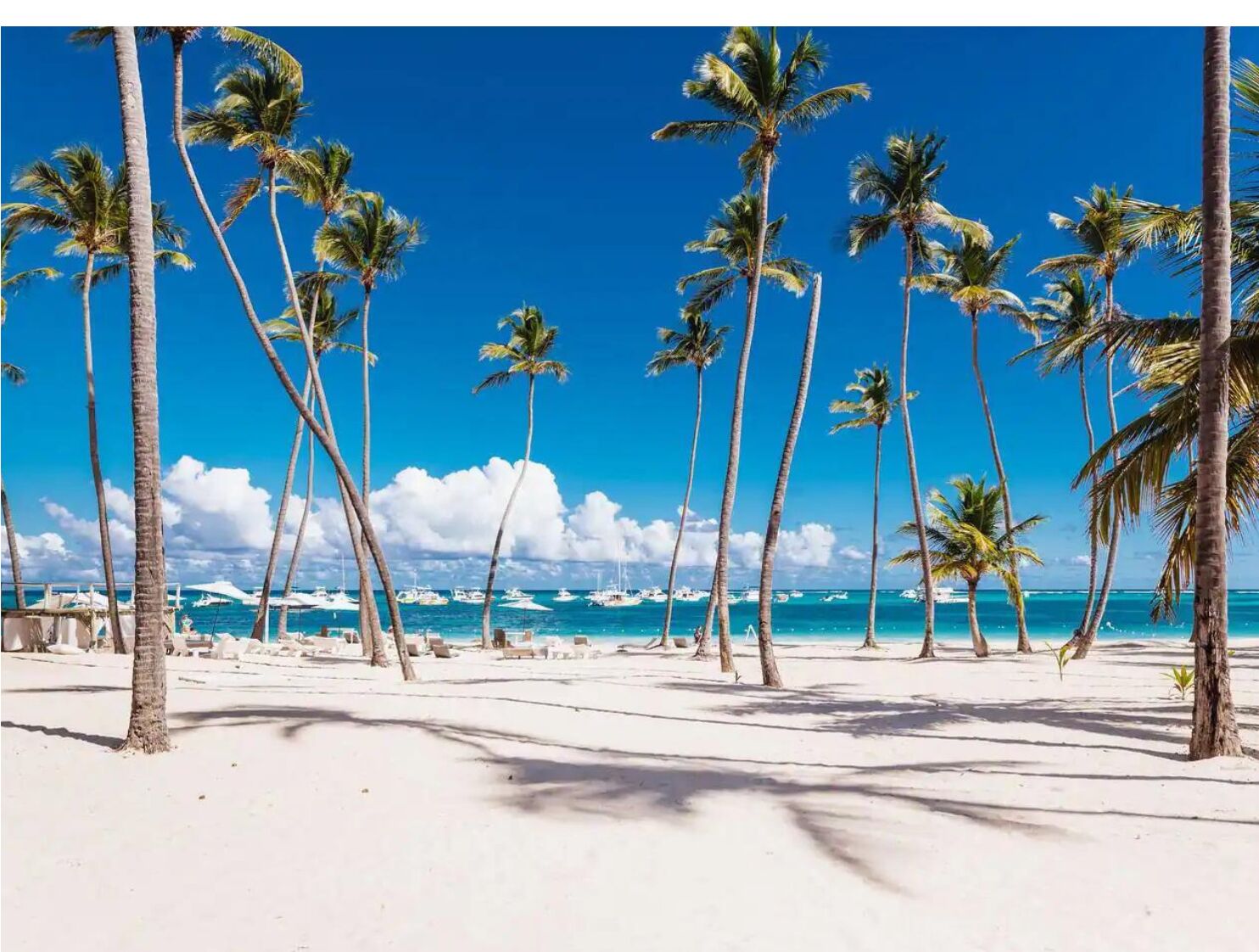 C101 Apartamento en los Corales