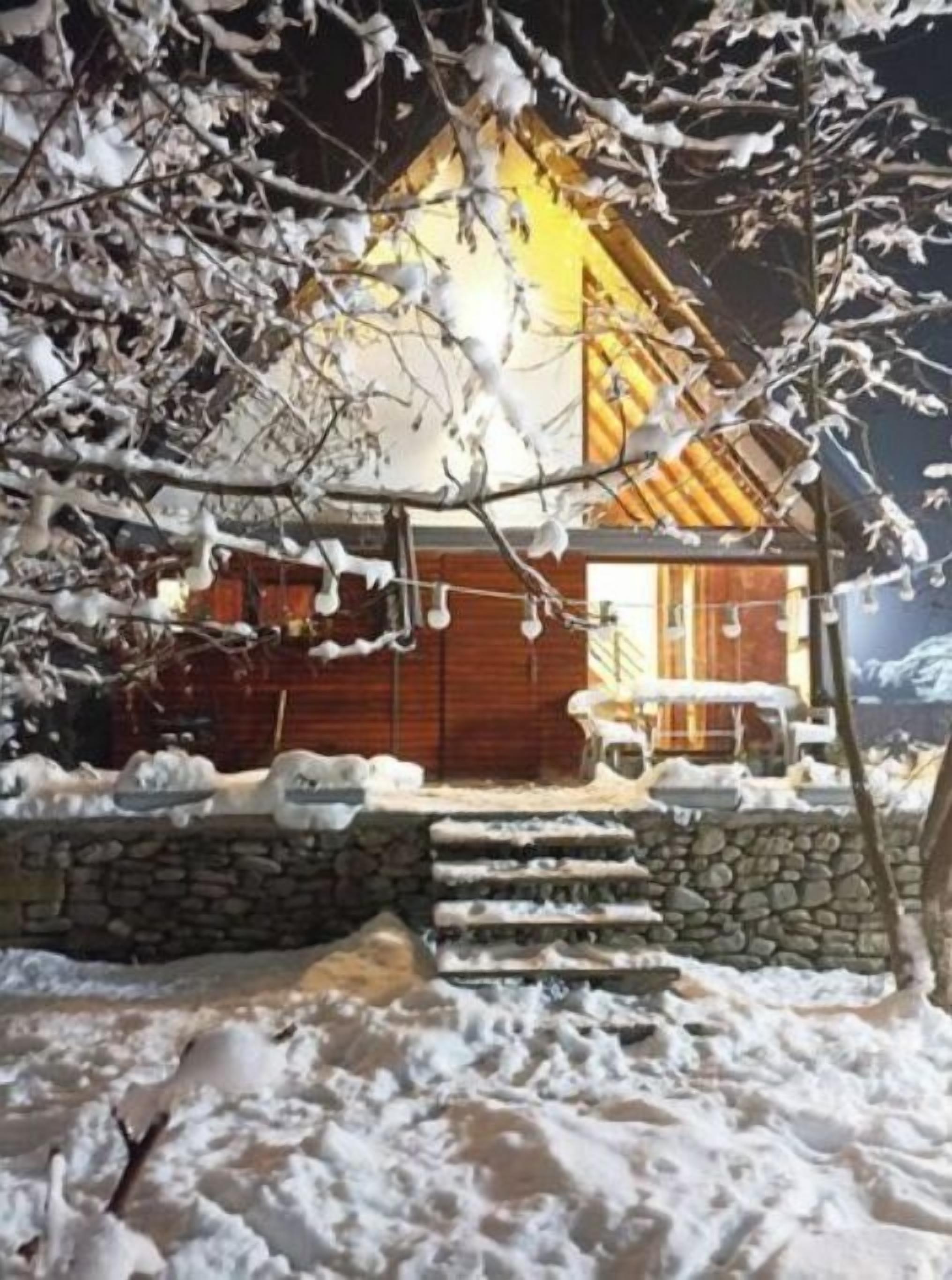 Connect With Nature Apt#2